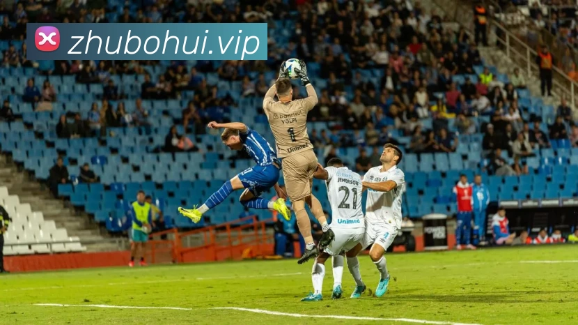 App Interface Preview